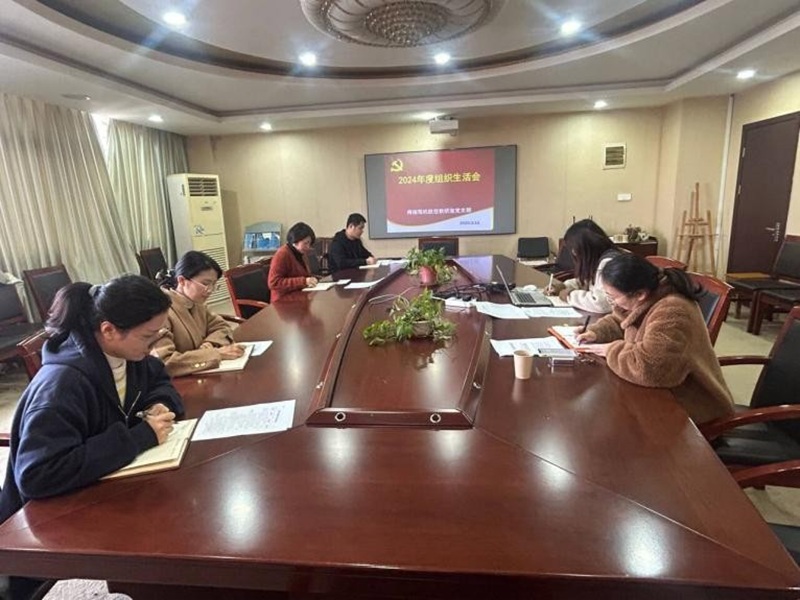 聚焦 2024 年度組織生活會，深化黨性錘煉與組織建設(shè)