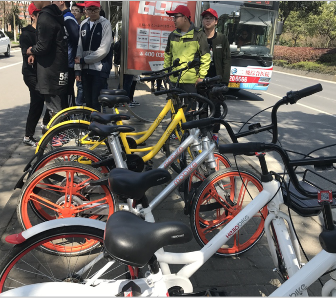 1490602528477025295.png 1490602528477025295.png