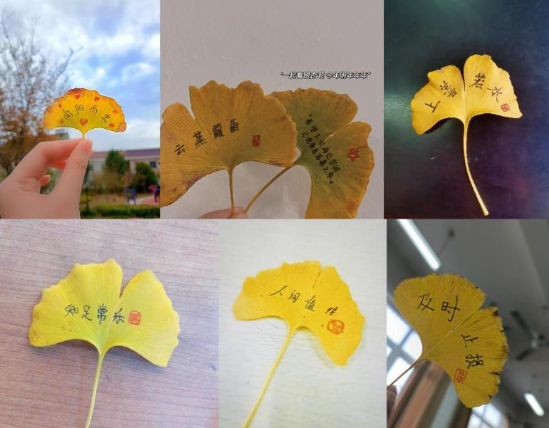 收集秋冬況味，書寫人生信條